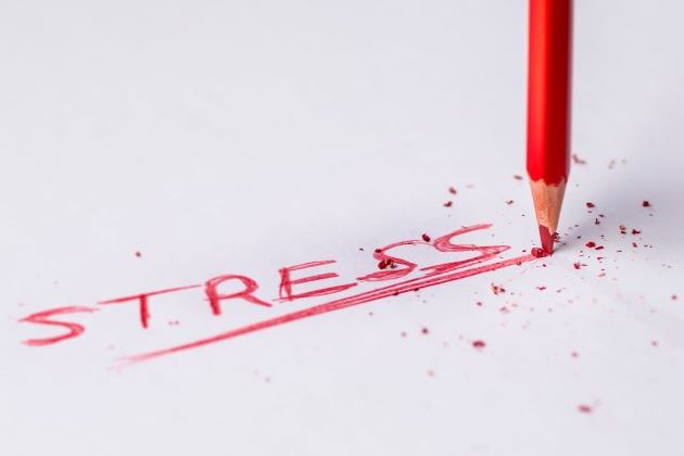 Gestão de Stress e Conflitos