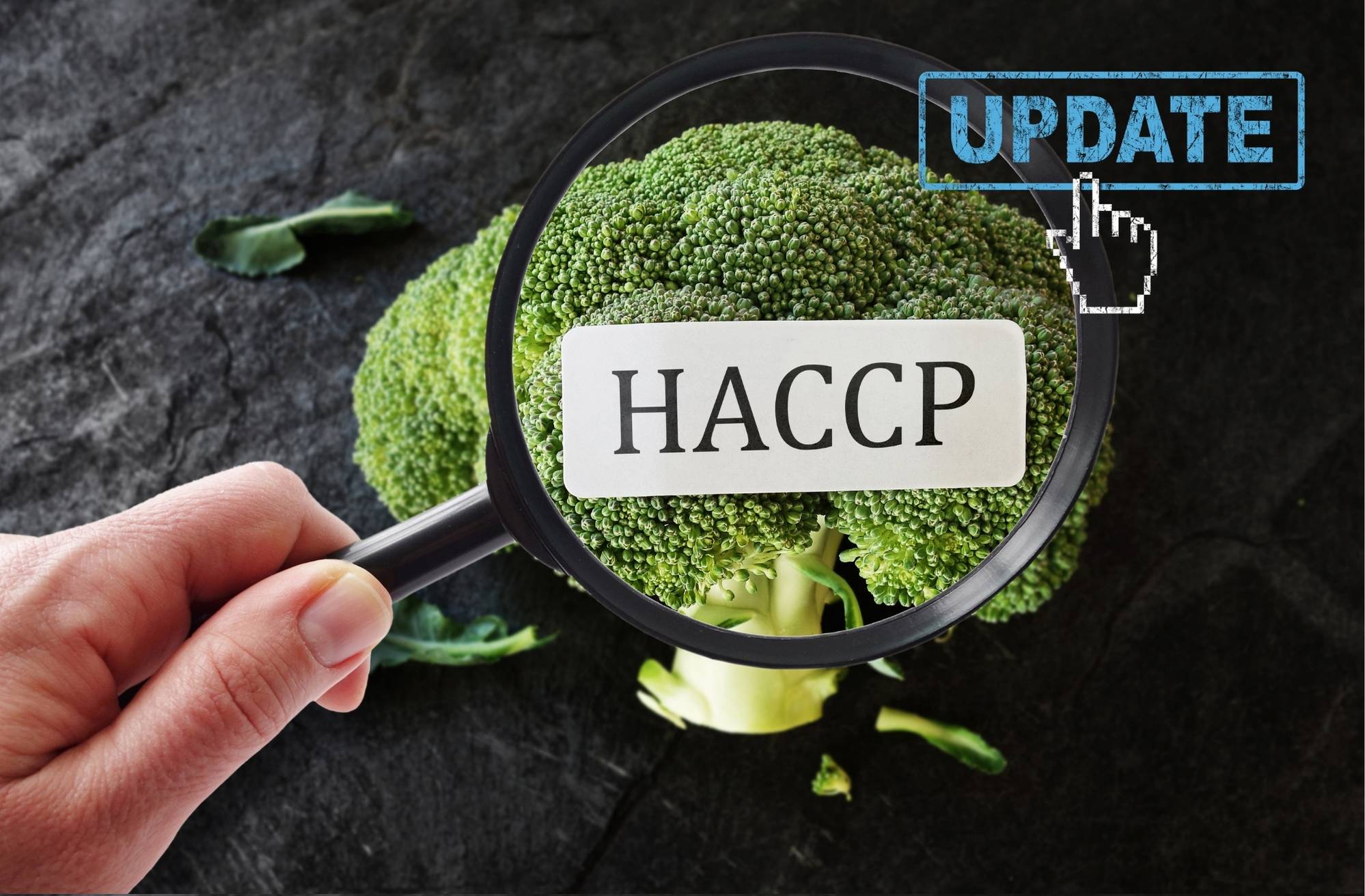 HACCP