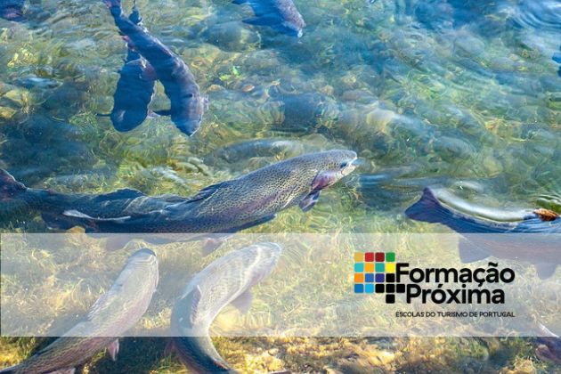 Meet to Promote
