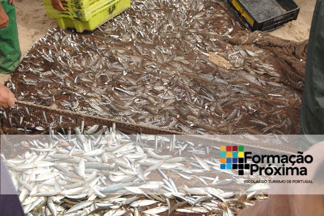 Peixe de Rede