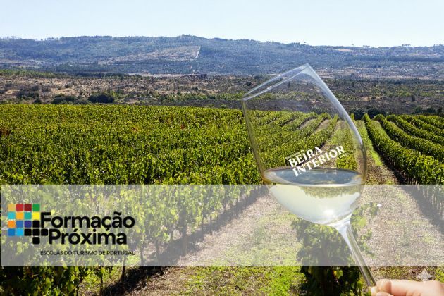 Marketing Territorial e Comunica��o do Destino