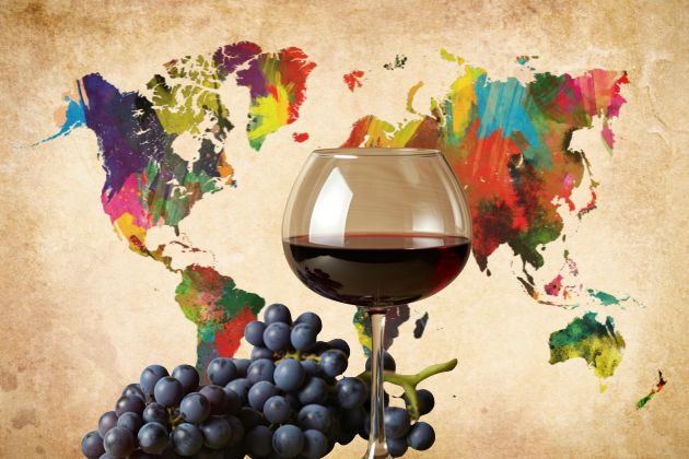 à descoberta vinhos mundo