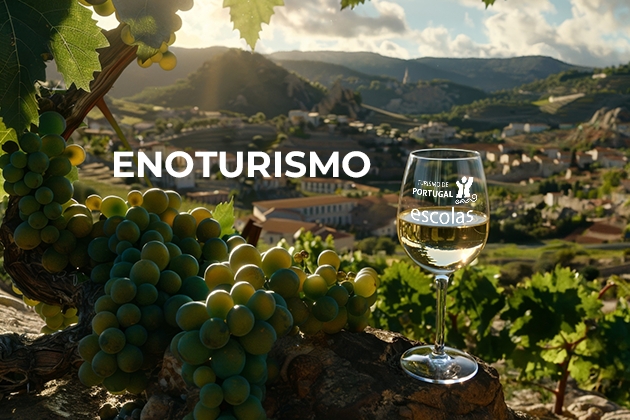 Enoturismo